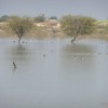 A small water body in our way through Chambal barrens.