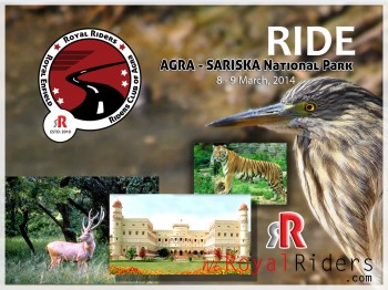 Royal Rider's Ride to Sariska National Park, Alwar, Rajasthan.