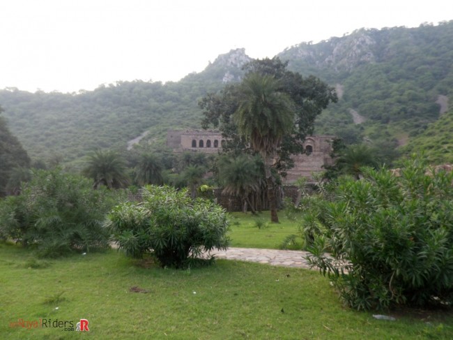 sariska-2014-56