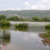 Lake inside sariska national park