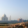 Beautiful picture of Tajmahal from a distance, the pigeon was there just at time.