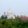 Taj Mahal picture taken from Taj Nature Walk.