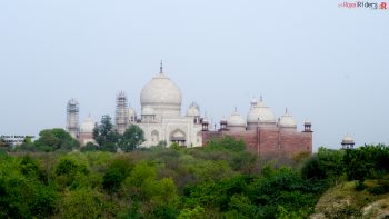 Taj Mahal picture taken from Taj Nature Walk.